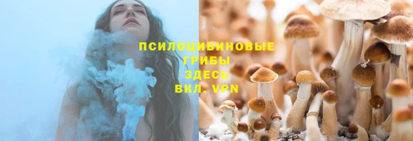 спайс Алексеевка