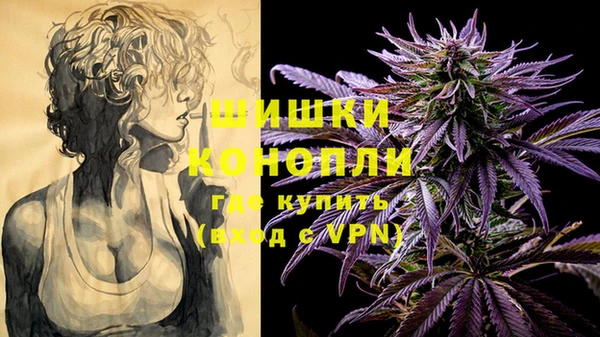 прущий лед Абаза