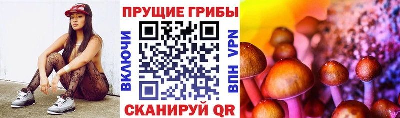 Галлюциногенные грибы мухоморы OMG ССЫЛКА Нелидово купить сайты